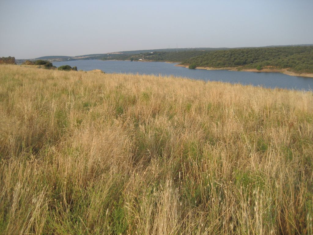 Blick auf den gestauten Río Esla