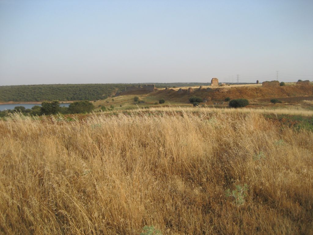 Burgruine Castrotorafe