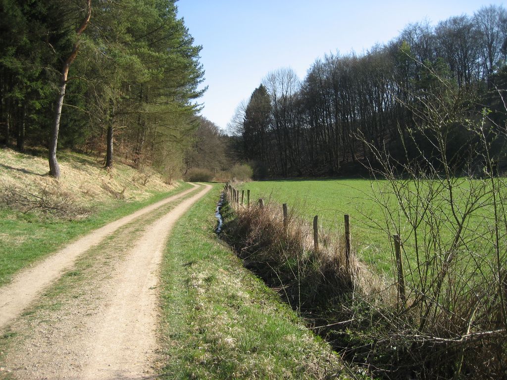 Camino Deluxe