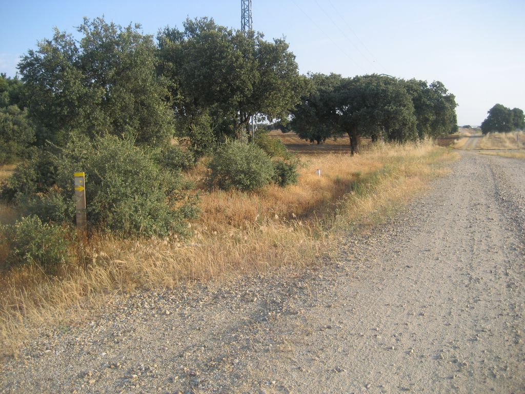 Camino vor El Cubo del Vino