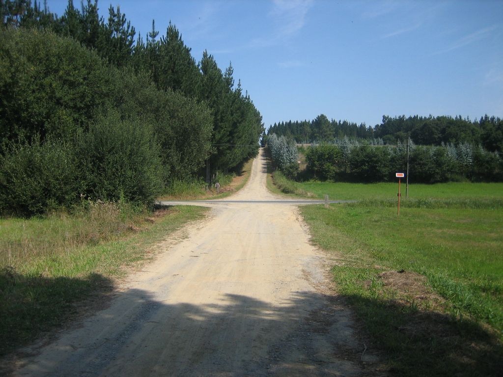 Camino vor Sigueiro