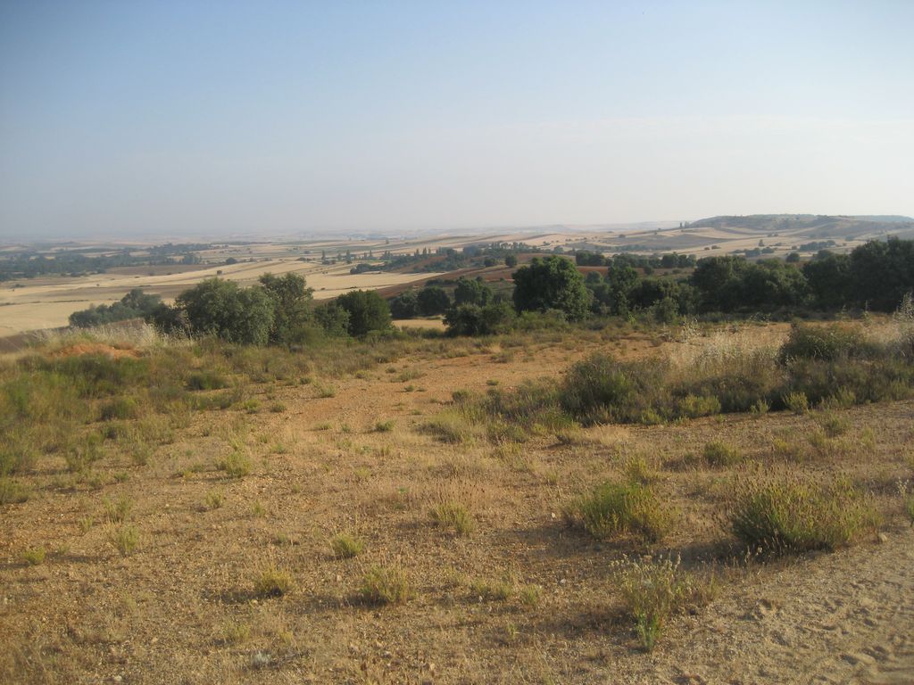 Camino vor Zamora