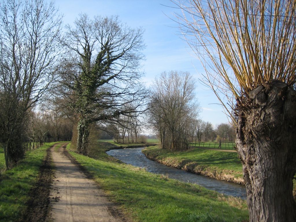 Die Erft bei Ottenheim