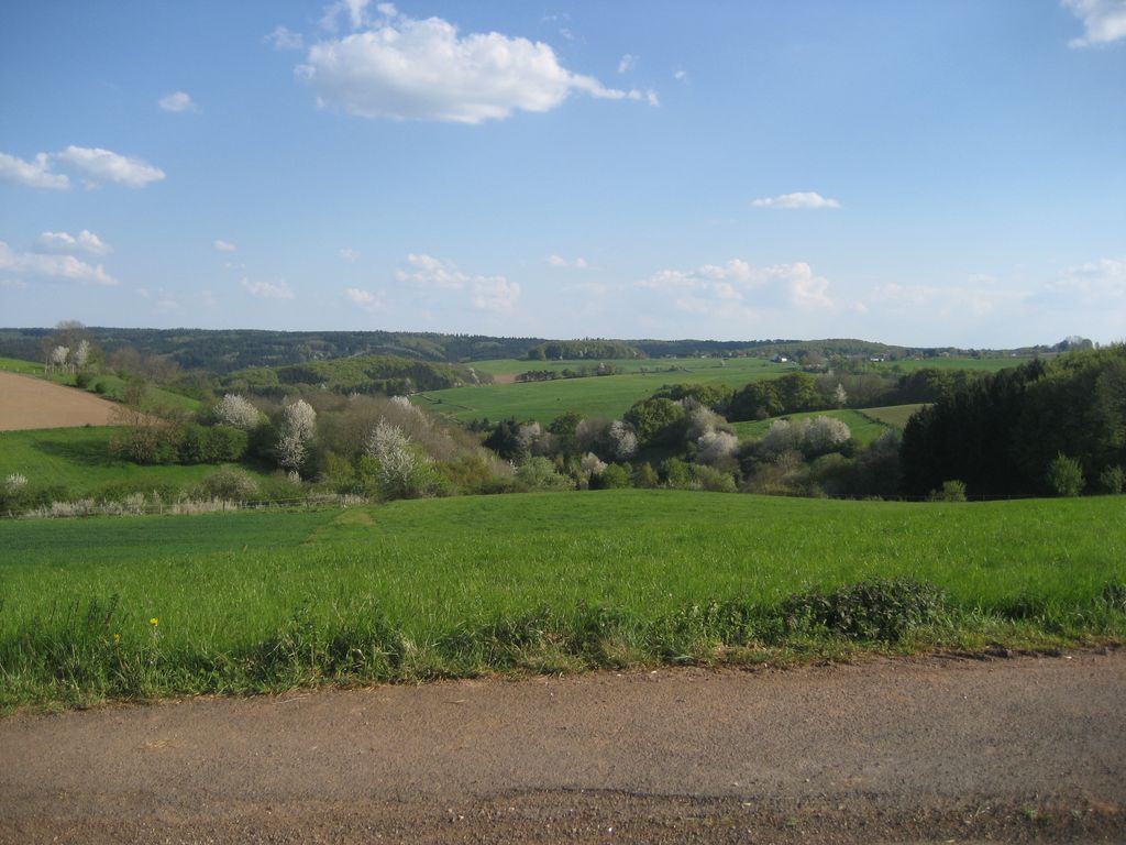 Eifelblick