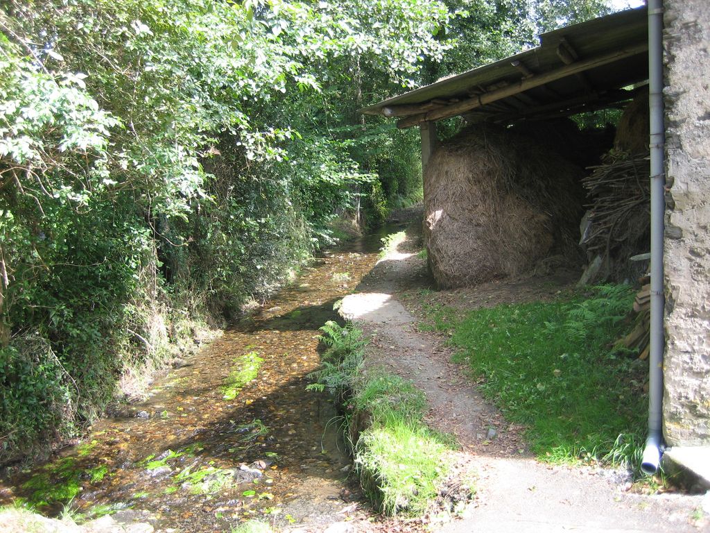 Entlang des Baches