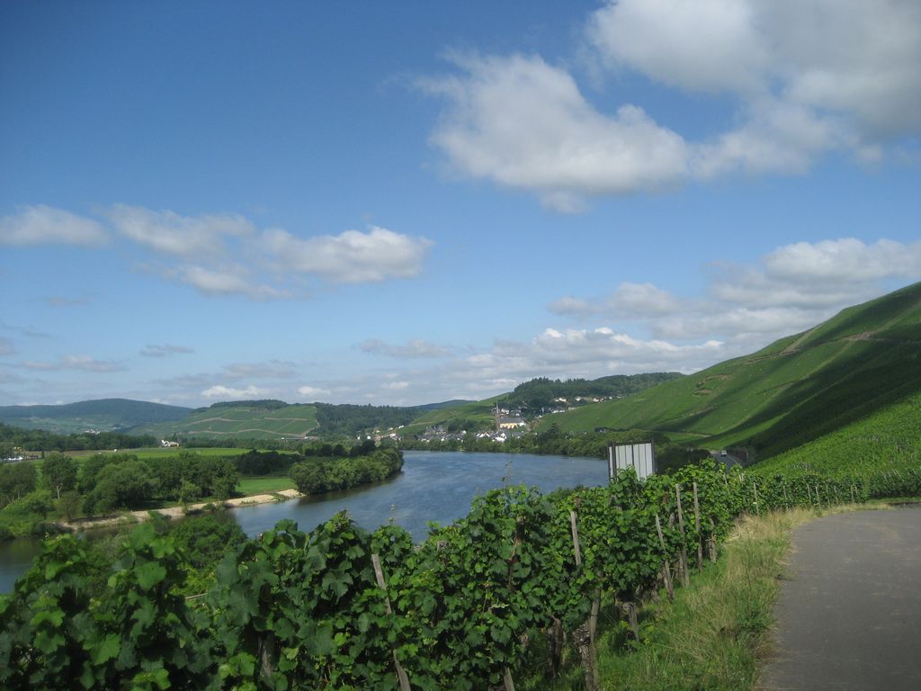 Herrliches Moseltal