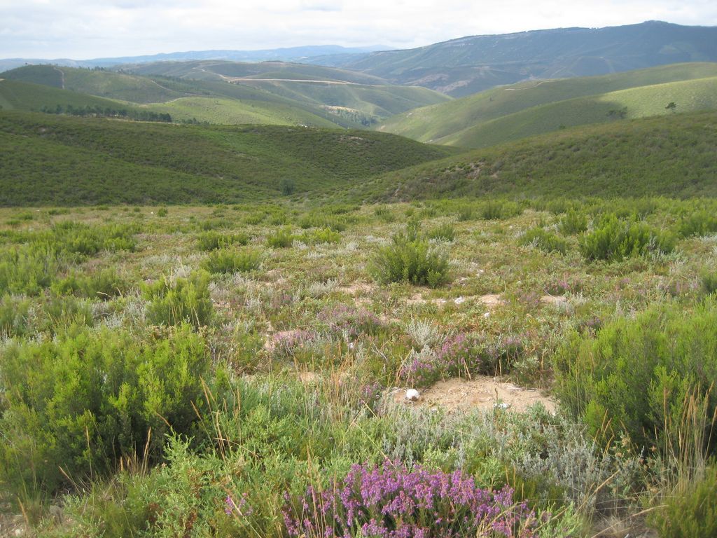 Hinter A Gudiña