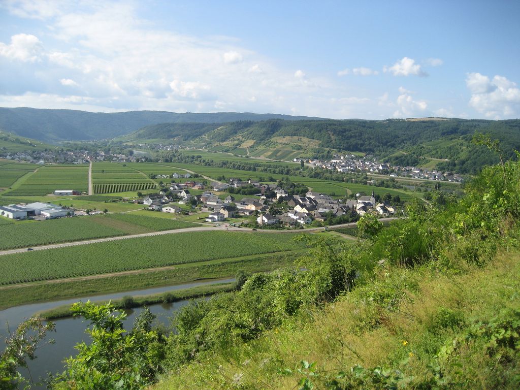 Moseltal bei Ensch