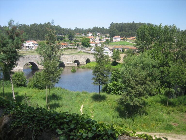 Ponte do Ave