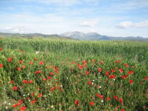 Landschaft bei Torres del Rio